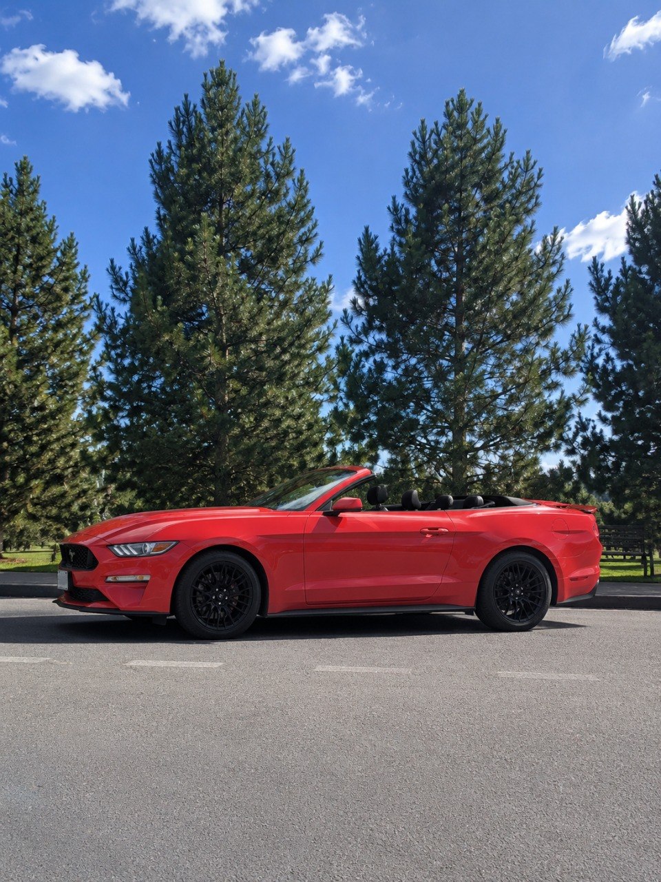 Ford Mustang аренда Краснодар — вид сзади-сбоку, спойлер и фонари