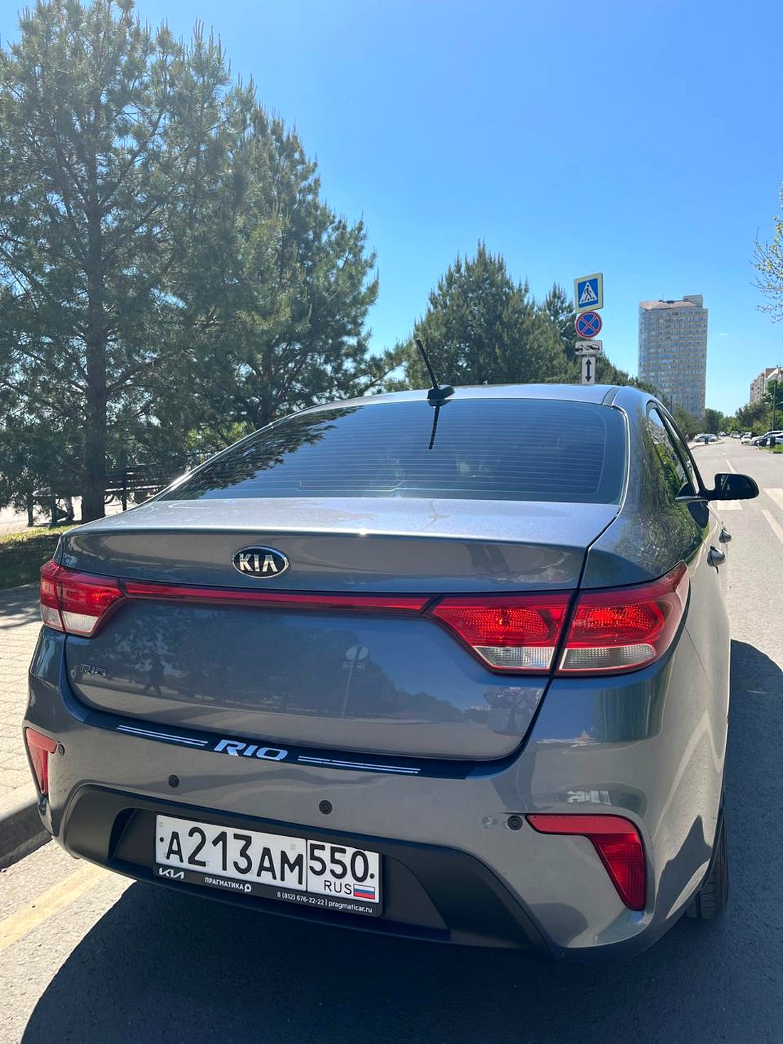 KIA Rio вид сзади