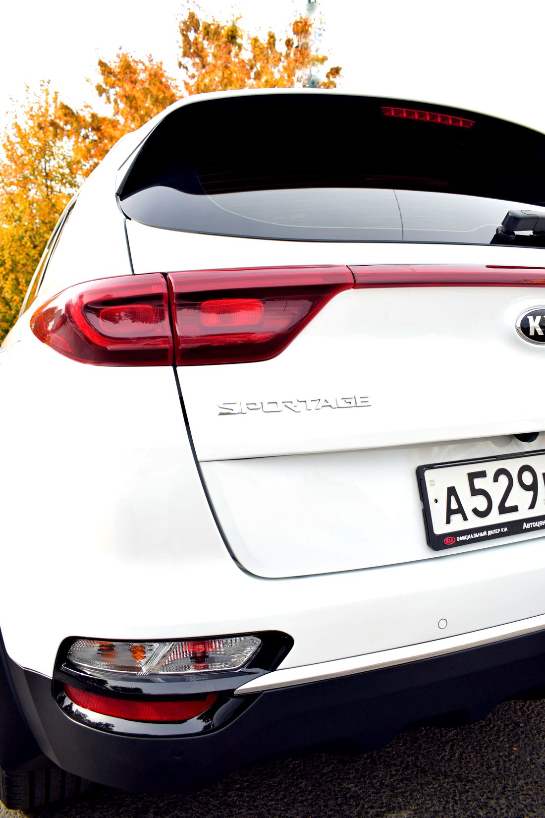 KIA Sportage вид сзади